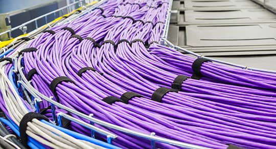Un faisceau de câbles réseau violets soigneusement organisés est fixé avec des attaches noires dans une salle de serveurs.